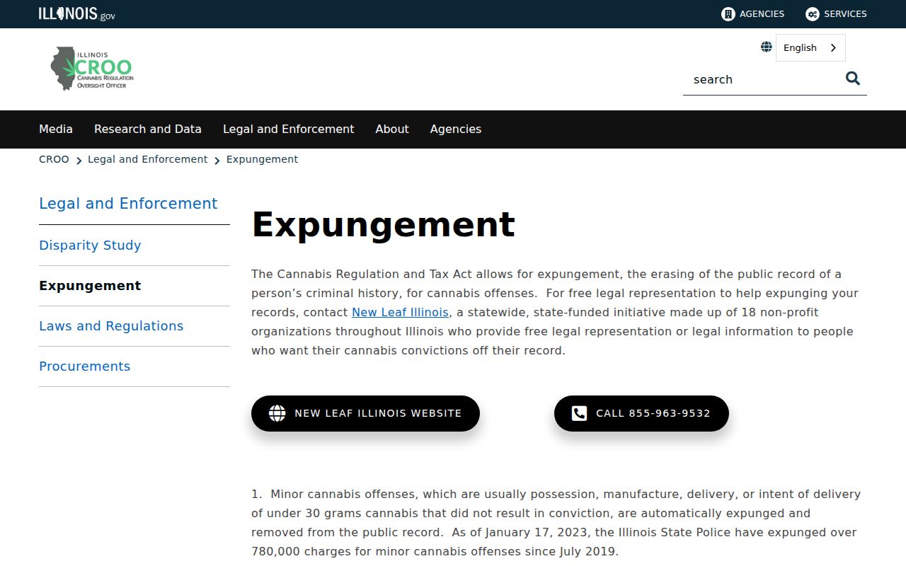 Bradley criminal-record check and Illinois cannabis expungement pathways